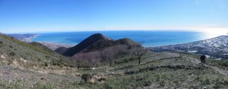 Peagna 01