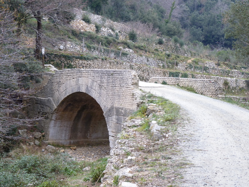 P1060233