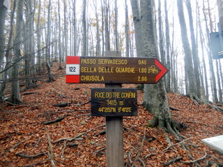 DSCN4619 001
