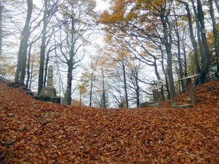 DSCN4629 001