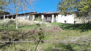 Paroldo 01 001