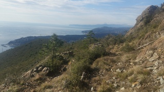 gava 01 001
