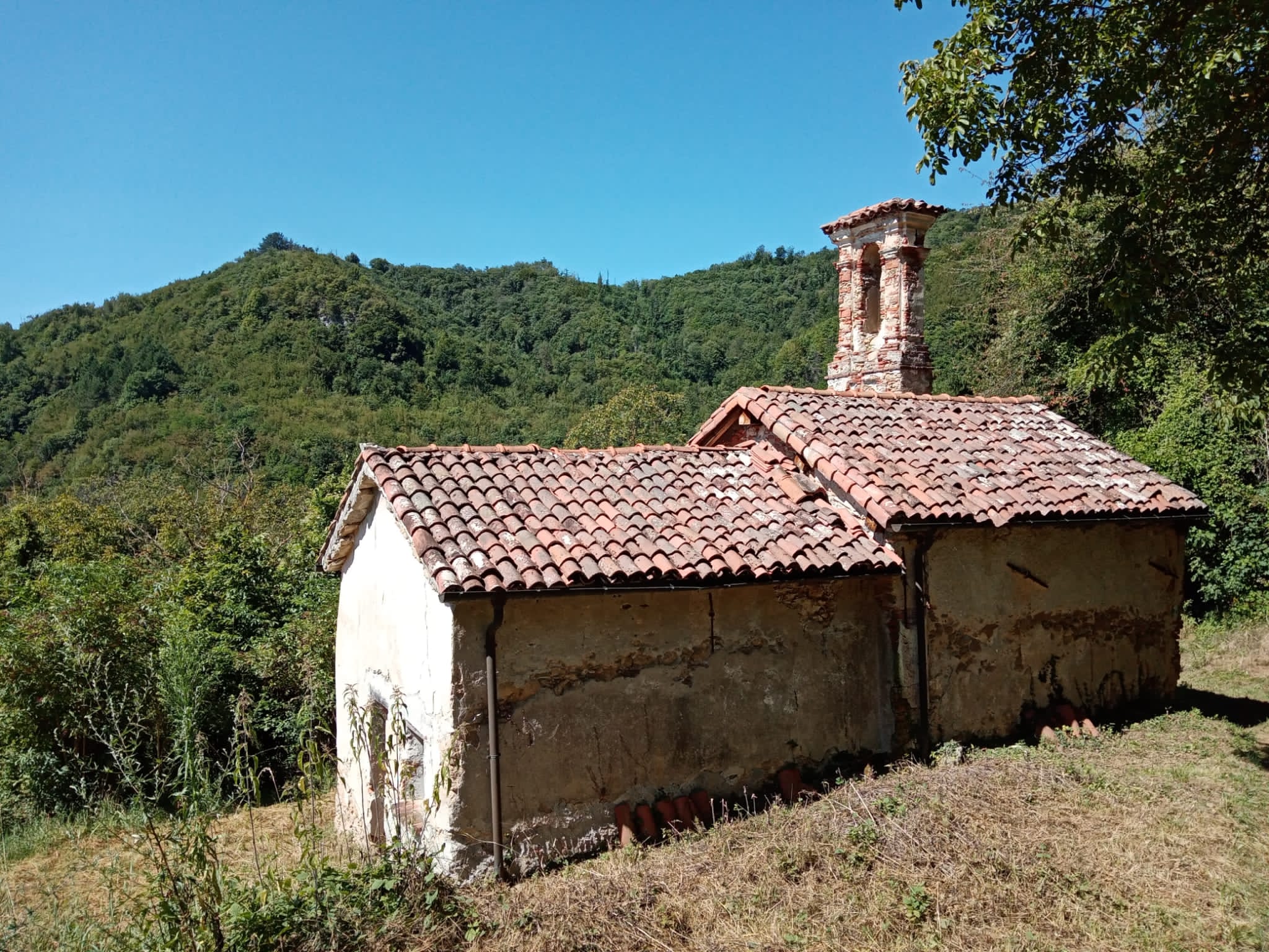 murialdo 01