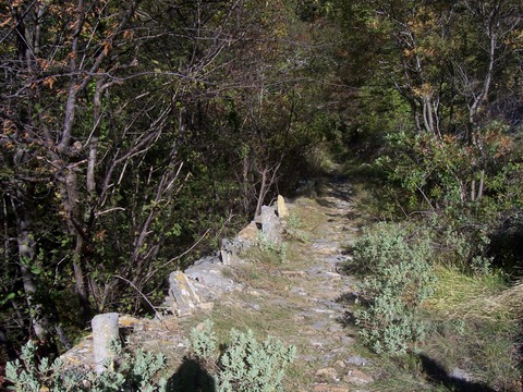 salto del lupo alzabecchi 013 001