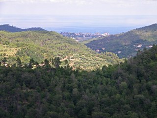 teccio 01 001