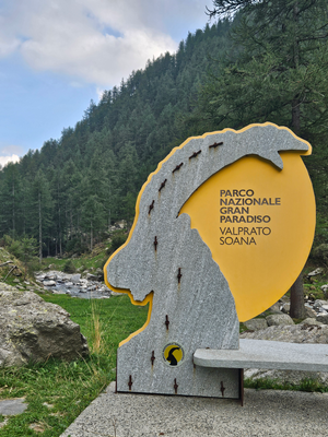 fotografia 50